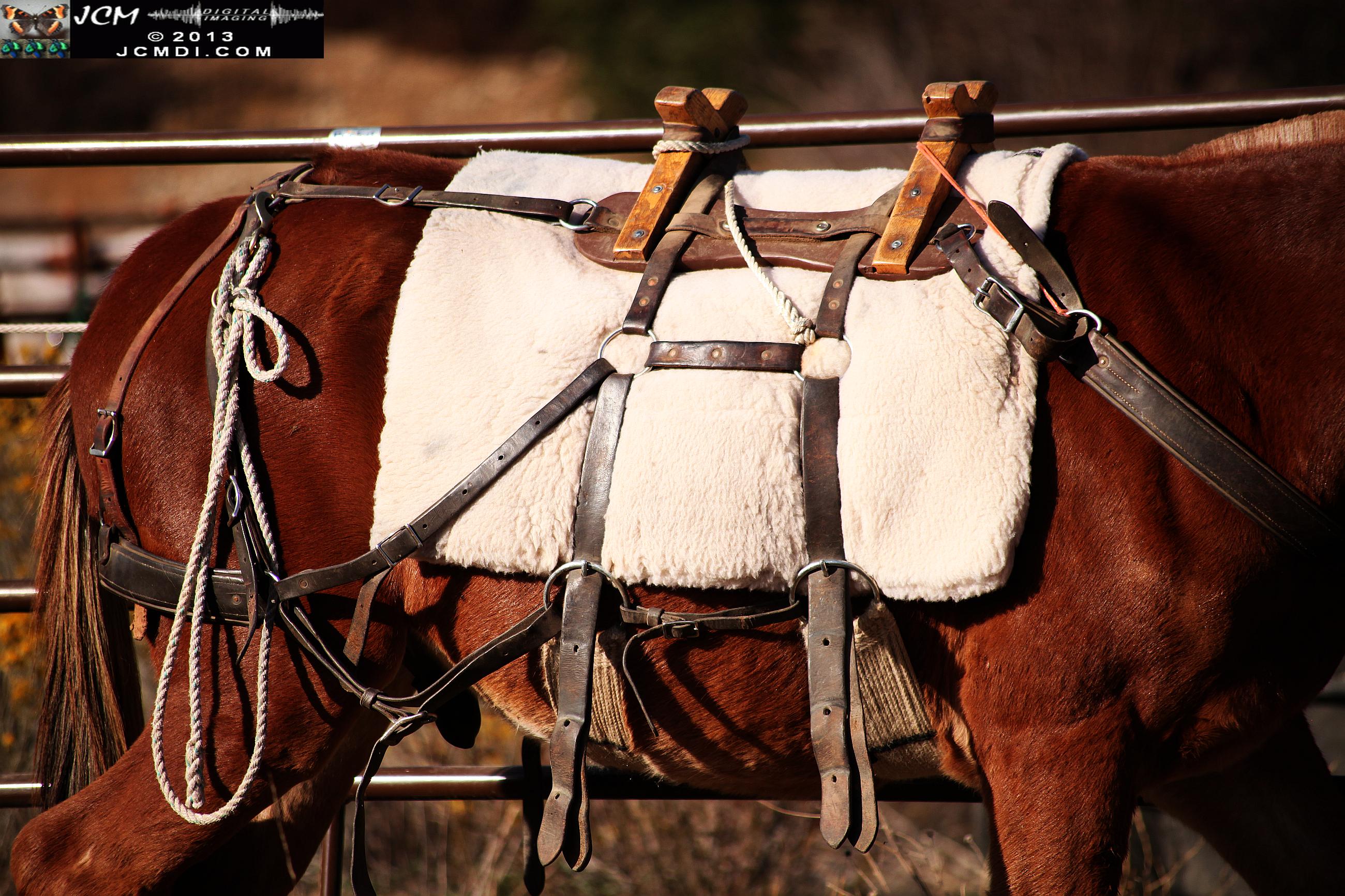 100 Mule Team at Whitney Canyon